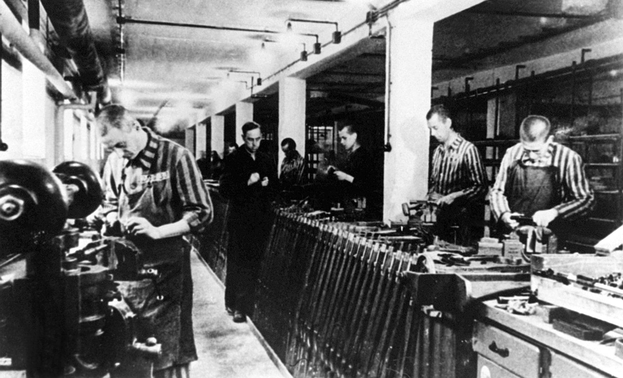 auschwitz-storia-rai-cultura